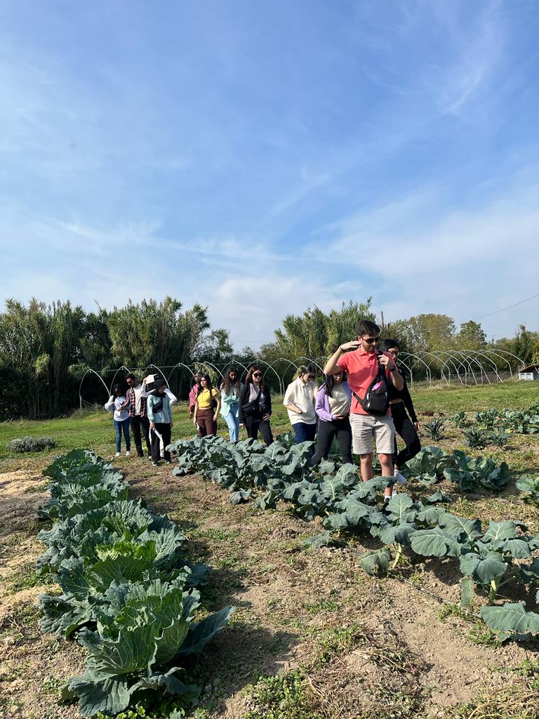 a group of students stand in a garden surrounded by leafy plants